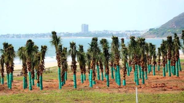 అన్నీ తానైన శ్రీలక్ష్మీ..