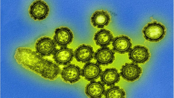 centre warnings on H3N2 virus-sudden rise in flu cases with severe symptoms
