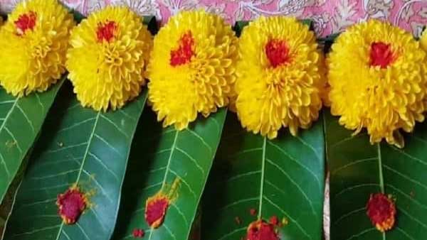 హోలీనాడు ఇంటికి ఇవి తెచ్చుకోండి.. వాస్తు దోషాలు పోతాయి హోలీనాడు ఇంటికి ఇవి తెచ్చుకోండి.. వాస్తు దోషాలు పోతాయి