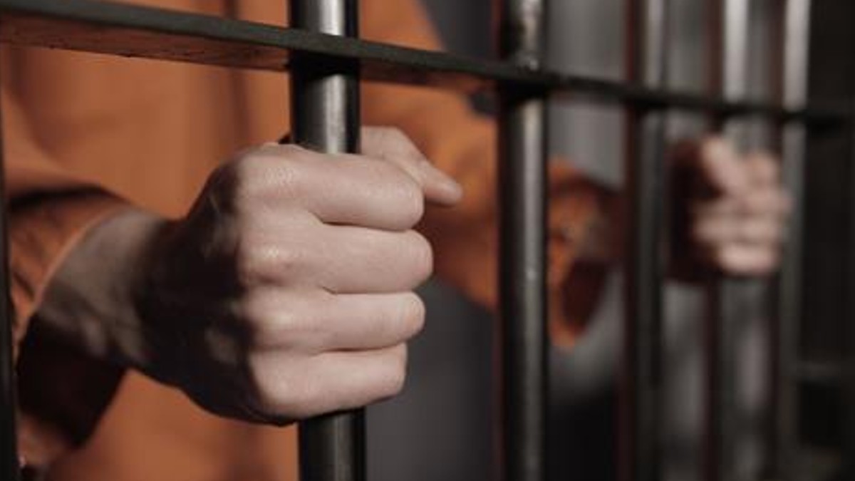 గ్యాంగ్ లీడర్ మీద ఎన్ని క్రిమినల్ కేసులో తెలుసా ?