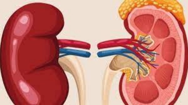 డయాబెటిస్ తో మూత్రపిండాలకు కష్టం