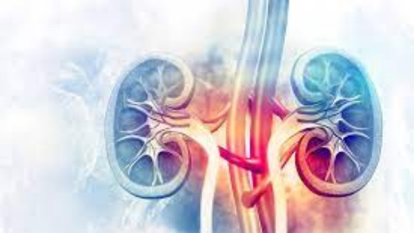  రక్తపోటు తో మూత్రపిండాలకు నష్టం