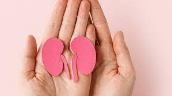 ఒబేసిటీ, ధూమపానం, మద్యపానంతో కిడ్నీలకు డేంజర్