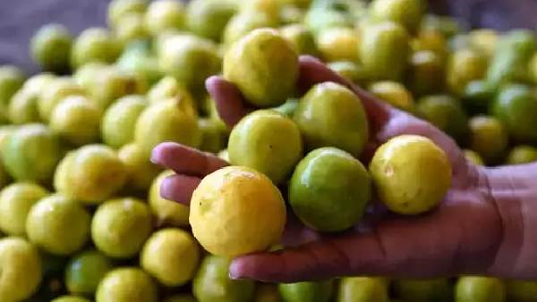 వ్యాపార అభివృద్ధి కోసం నిమ్మకాయలతో ఇలా చెయ్యండి