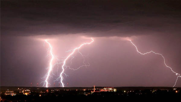 Lightning in Telangana state claims life of man, leaves 40 goats dead Lightning in Telangana state claims life of man, leaves 40 goats dead