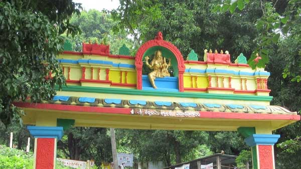 మానవ శరీరంలా మెత్తగా మల్లూరు స్వామి వారు 