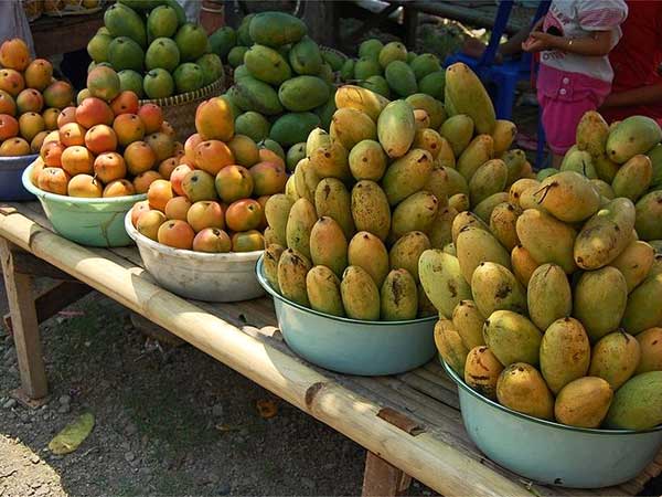mangoes prices will increase heavily in this summer.. this is the reason!!
