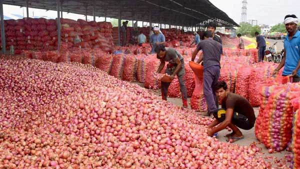 మహారాష్ట్ర ఉల్లి రైతుల కష్టాలు 