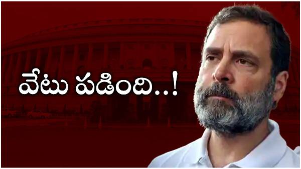 Rahul Gandhi disqualified as a MP following his conviction in the criminal defamation case