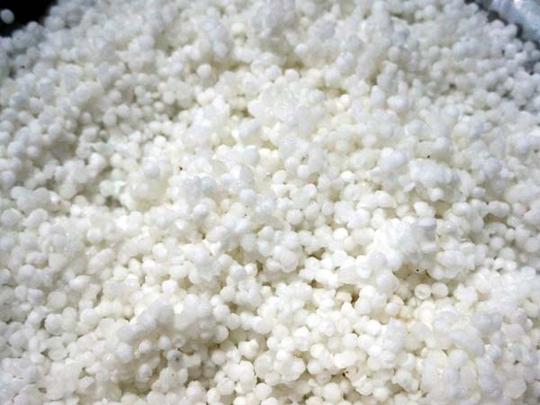 సగ్గుబియ్యంతో బోలెడు ఆరోగ్య ప్రయోజనాలు సగ్గుబియ్యంతో బోలెడు ఆరోగ్య ప్రయోజనాలు