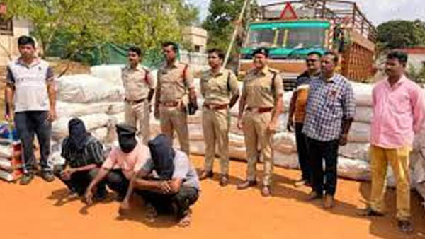 Ganja Smuggling under rice bags, three crore worth ganja seized in Alluri district