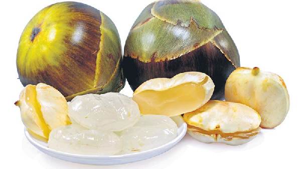 palm fronds uses in telugu