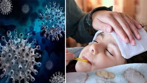 Viral Flu Cases Increasing in Telangana, Govt Alert to hospitals