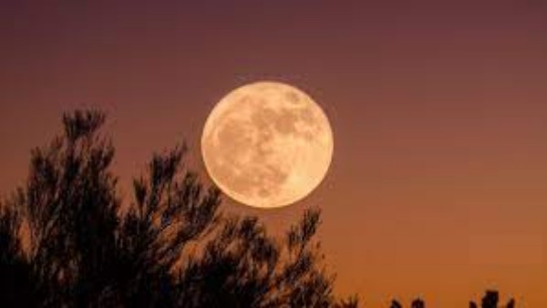  ఎన్నో పేర్లు..