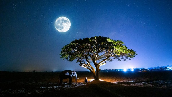 వార్మ్ మూన్ గా..