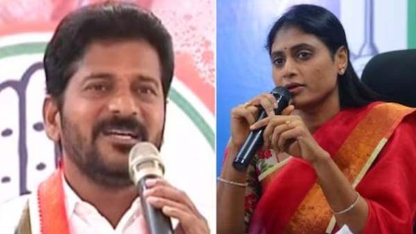 వైఎస్సార్ బ్రాండ్ ఇమేజ్ ఎవరి సొంతం? 