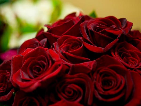  rose for wealth