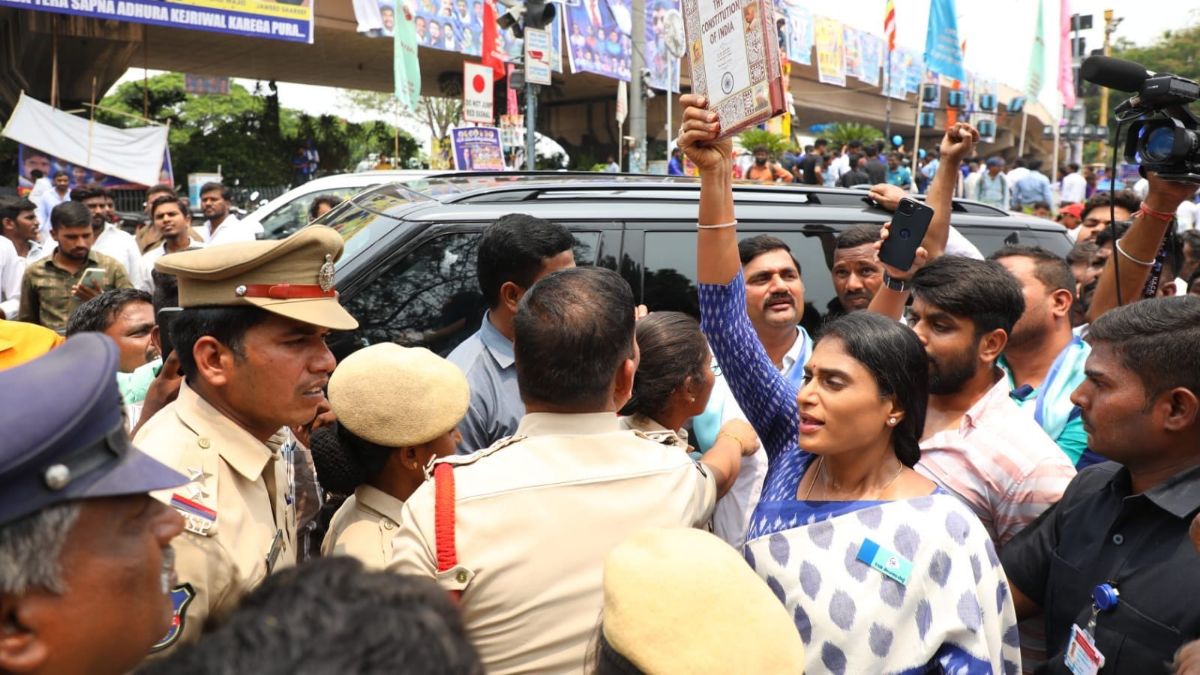 A tense lotus pond A tense lotus pond