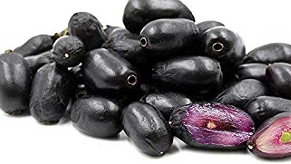 black plum jamun health benefits and uses in telugu