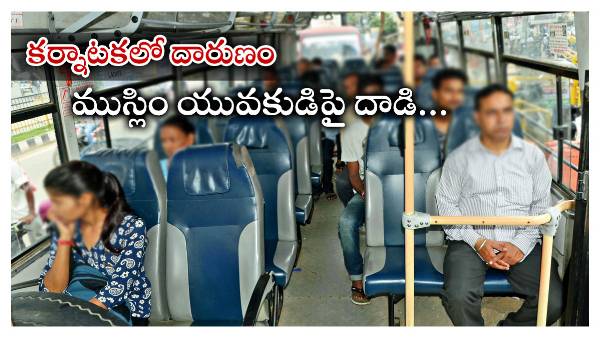 bus bus