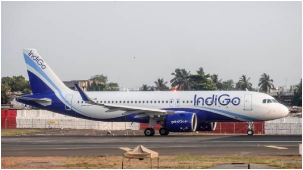 indigo plane 