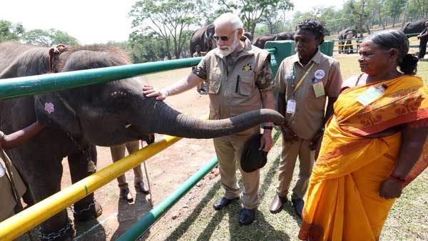 PM Modi met The Elephant Whisperers couple, Bomman and Bellie during his Mudumalai forest trip PM Modi met The Elephant Whisperers couple, Bomman and Bellie during his Mudumalai forest trip