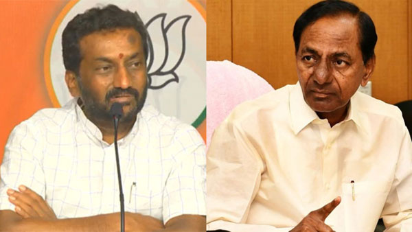 Raghunandna Rao slams CM KCR 