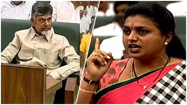  cbn-roja-
