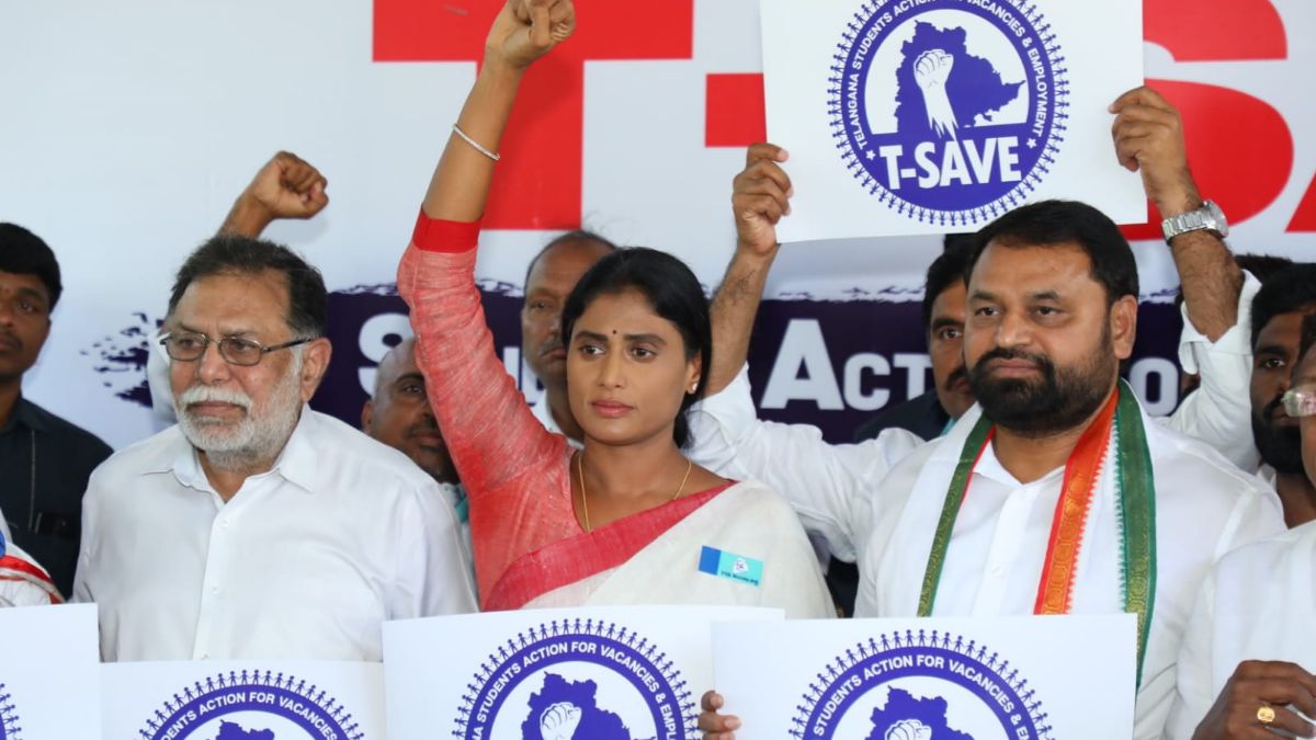 A tense lotus pond A tense lotus pond