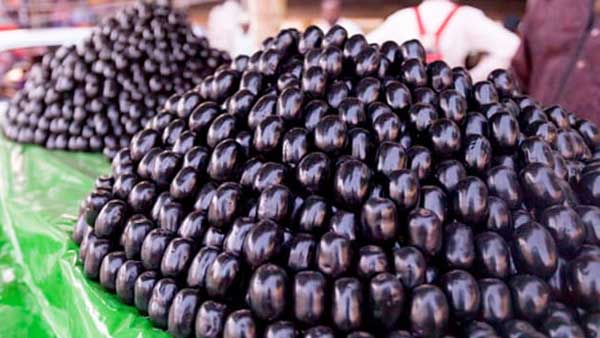 astrology: jamun black berries very useful for prevention of shani dosha
