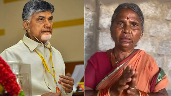 gangavva apologizes to chandrababu naidu