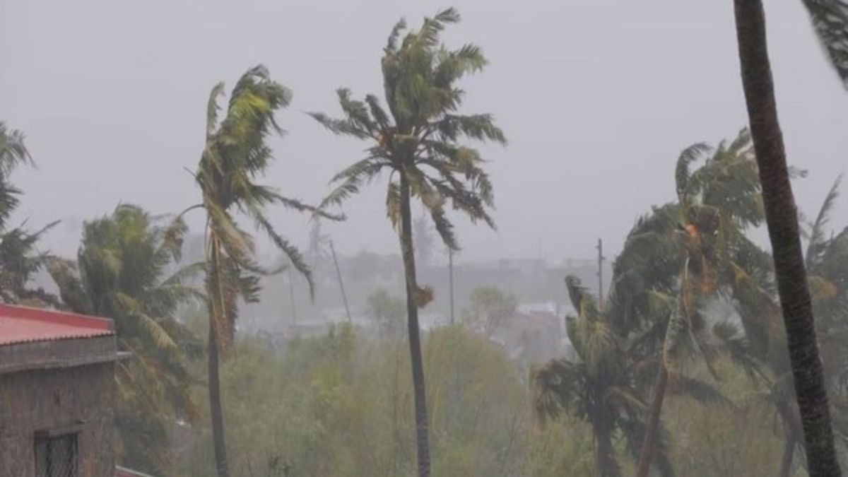 Cyclone Mocha Cyclone Mocha