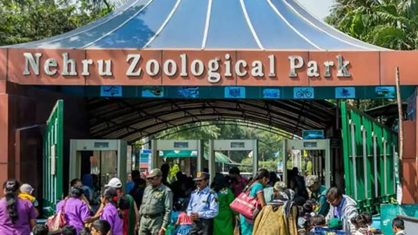 Nehru Zoological Park 