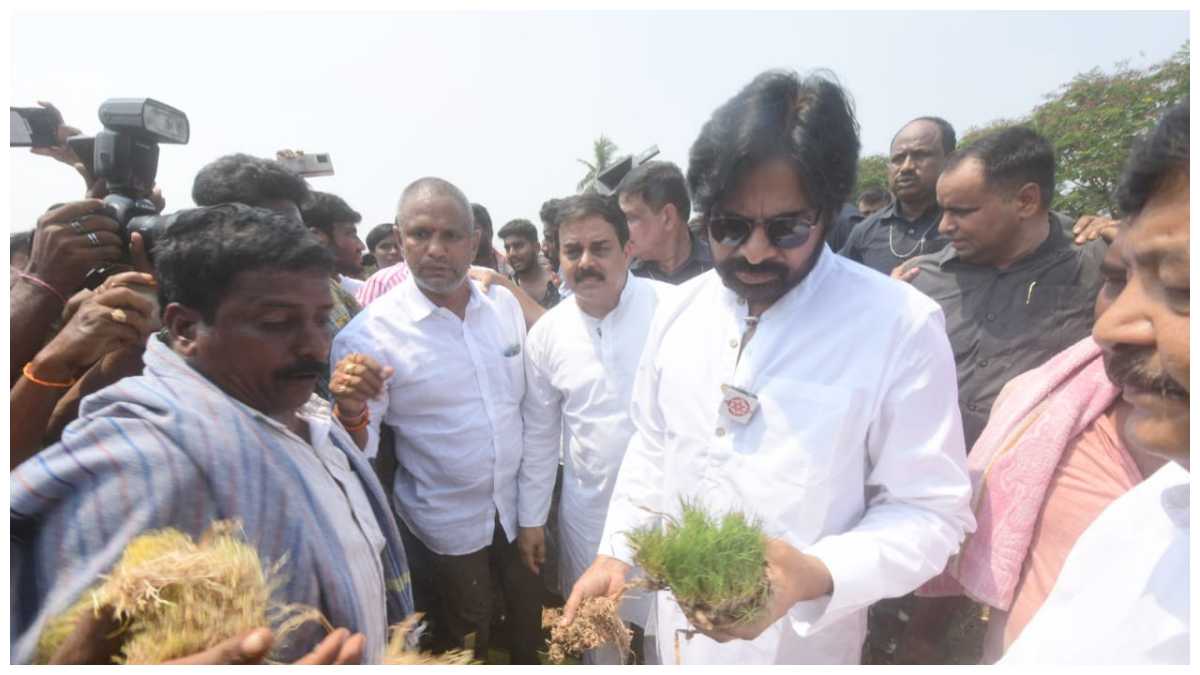 pawankalyan pawankalyan