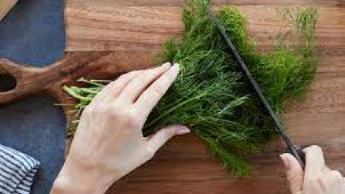 dill water 