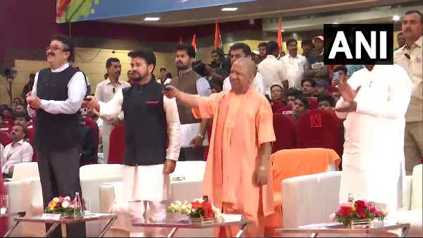 yogi-