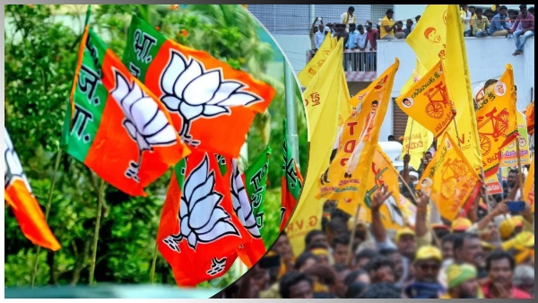  bjptdp