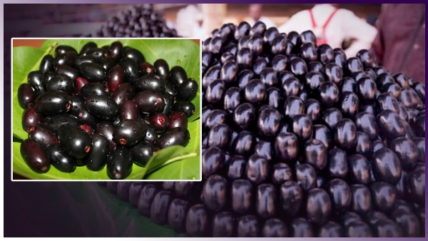  jamun