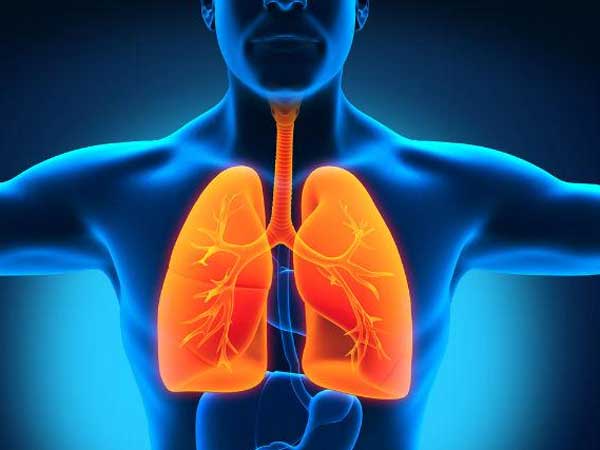 Health tips: Infection in lungs; Consume these as food for lungs health!!