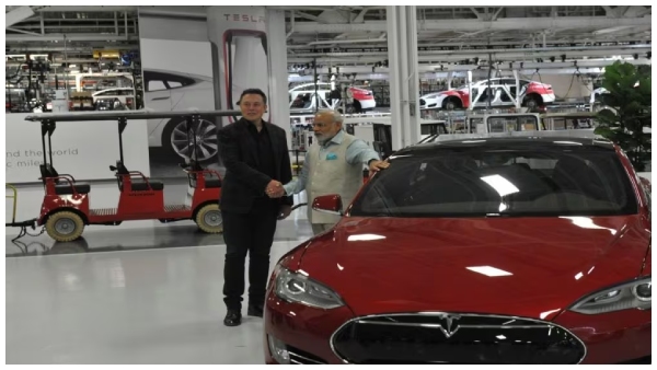 modielonmusktesla- modielonmusktesla-