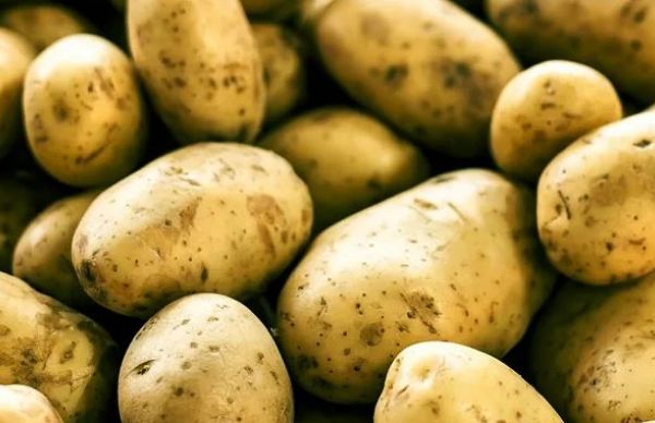 potato potato