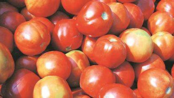tomato prices increase india wide