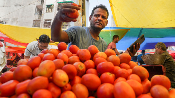 AP Govt decides to open counters in Rythu Bazar to sale Tomato in Subsidy rates rs 50 per Kg across the state