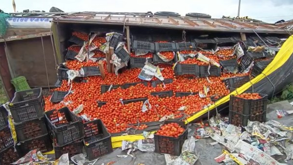 Tomato Lorry Tomato Lorry