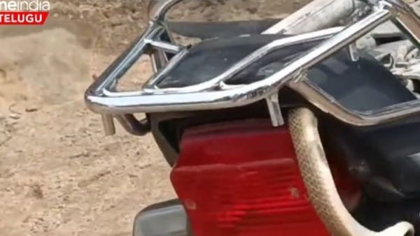  A big snake found in a bike in Nizamabad district.