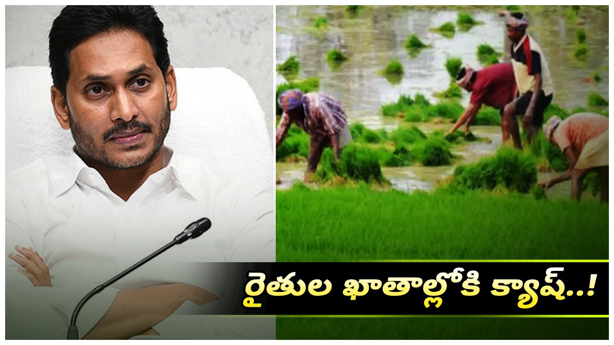 farmerinputsubsidyamounts farmerinputsubsidyamounts