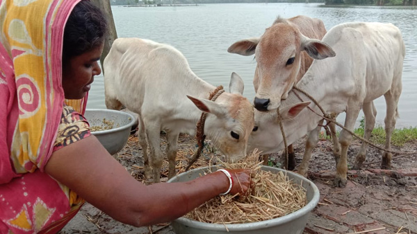 Do these 4 things mentioned in Garuda Purana, you will get rid of all the troubles and tears!!