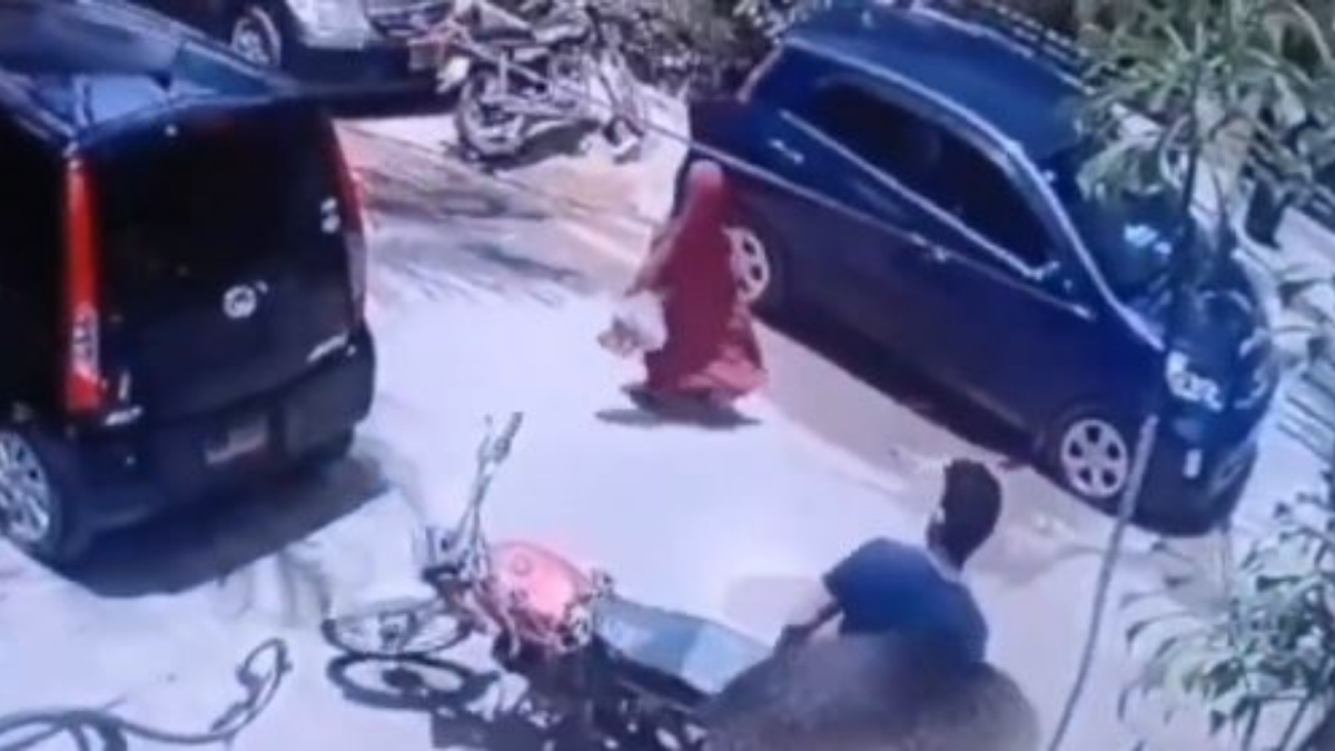 Viral Video: Viral Video: