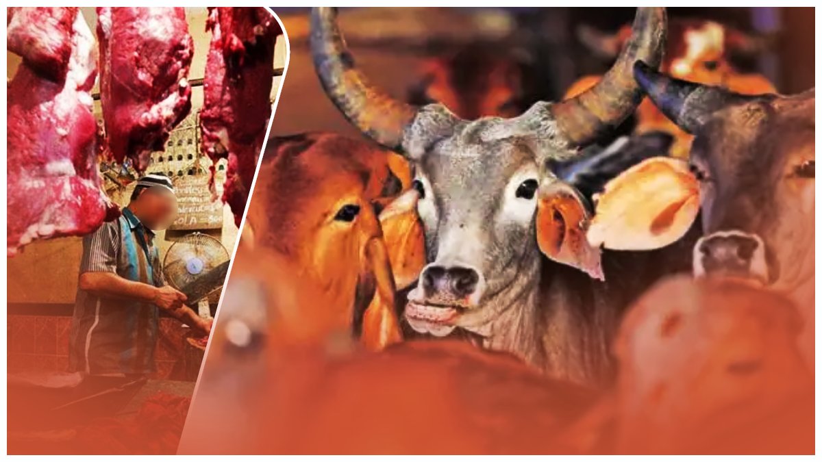 killingcowsonbakrid killingcowsonbakrid