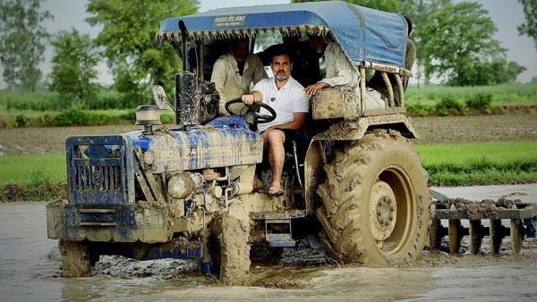 Congress leader Rahul Gandhi sowing seeds at the fields in Haryana